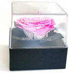 Trandafir Criogenat Roz (dia. 7-8cm) in Cutie Transparenta 10x10x11cm