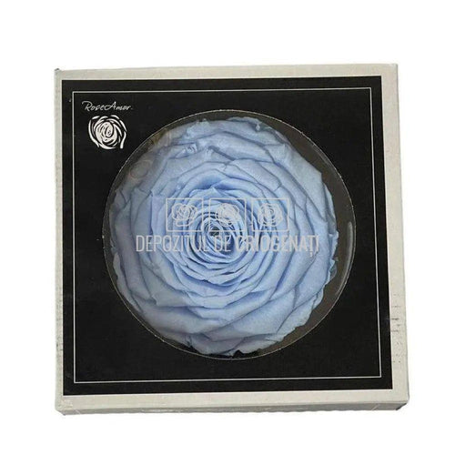 Trandafir Criogenat XXL BLU-89 (Ø9,5cm, 1 buc /cutie) - DepozituldeCriogenati.ro
