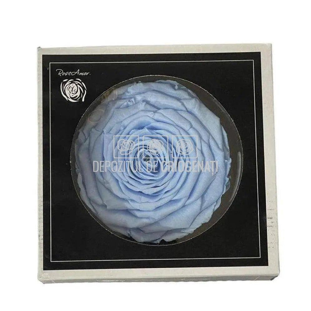Trandafir Criogenat XXL BLU-89 (Ø9,5cm, 1 buc /cutie) - DepozituldeCriogenati.ro