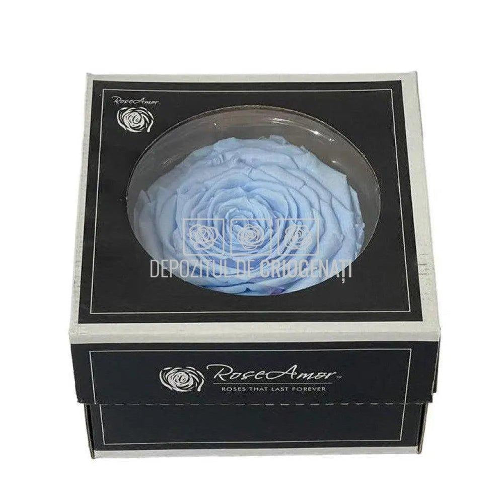 Trandafir Criogenat XXL BLU-89 (Ø9,5cm, 1 buc /cutie) - DepozituldeCriogenati.ro