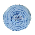 Trandafir Criogenat XXL BLU-89 (Ø9,5cm, 1 buc /cutie) - DepozituldeCriogenati.ro
