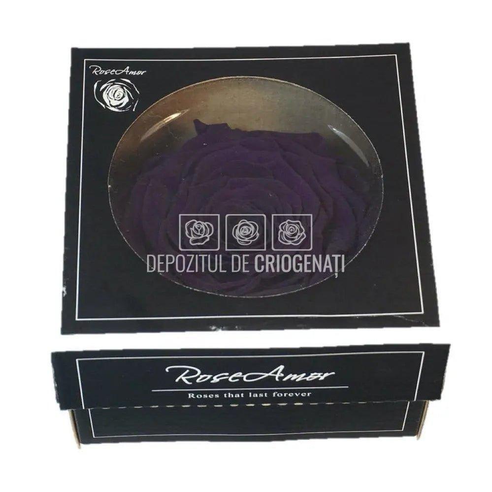 Trandafir Criogenat XXL PUR-01 (Ø9,5cm, 1 buc /cutie) - DepozituldeCriogenati.ro