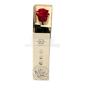 Trandafir Verdissimo AMOROSA MINI RED Ø3,5-4,5cm, 1 buc - DepozituldeCriogenati.ro