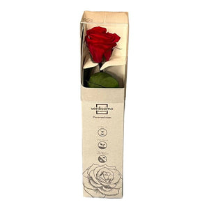 Trandafir Verdissimo AMOROSA MINI RED Ø3,5-4,5cm, 1 buc - DepozituldeCriogenati.ro