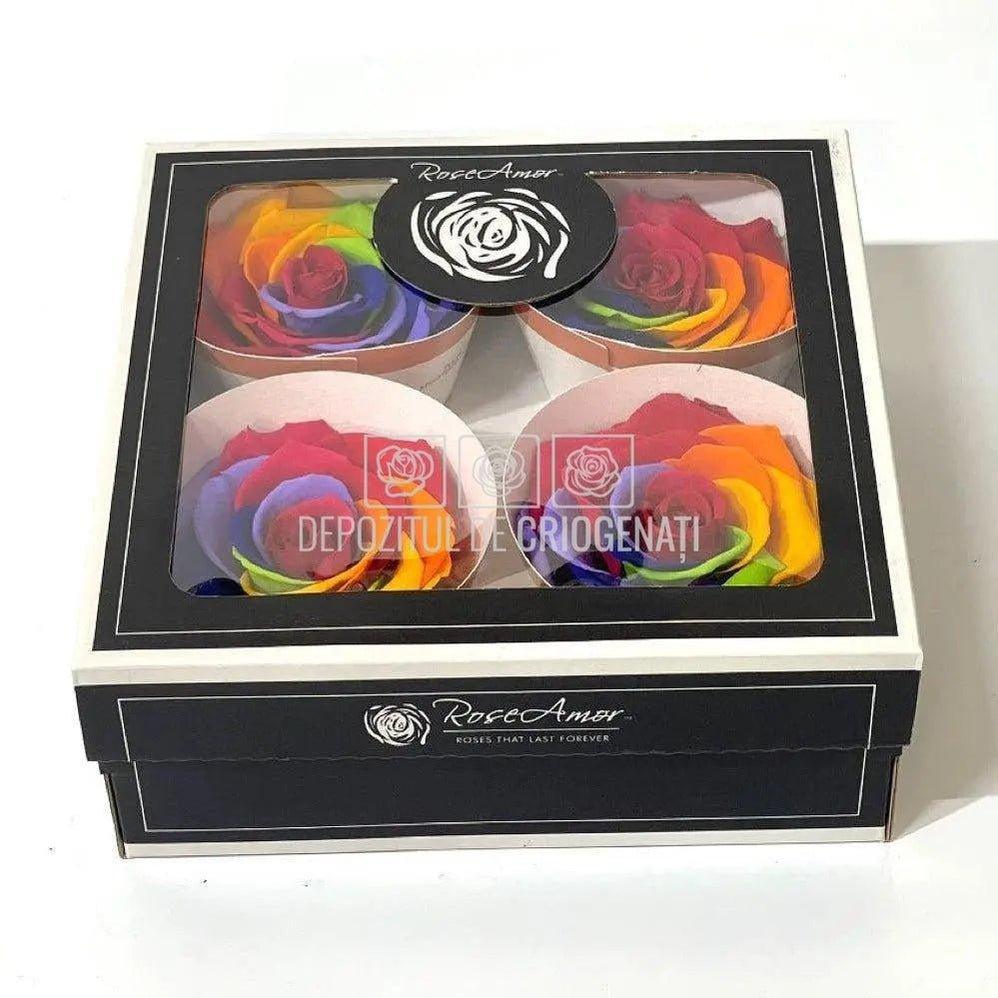 Trandafiri BELLA RAINBOW RED-02 (Ø7,5-8cm, set 4buc) - DepozituldeCriogenati.ro