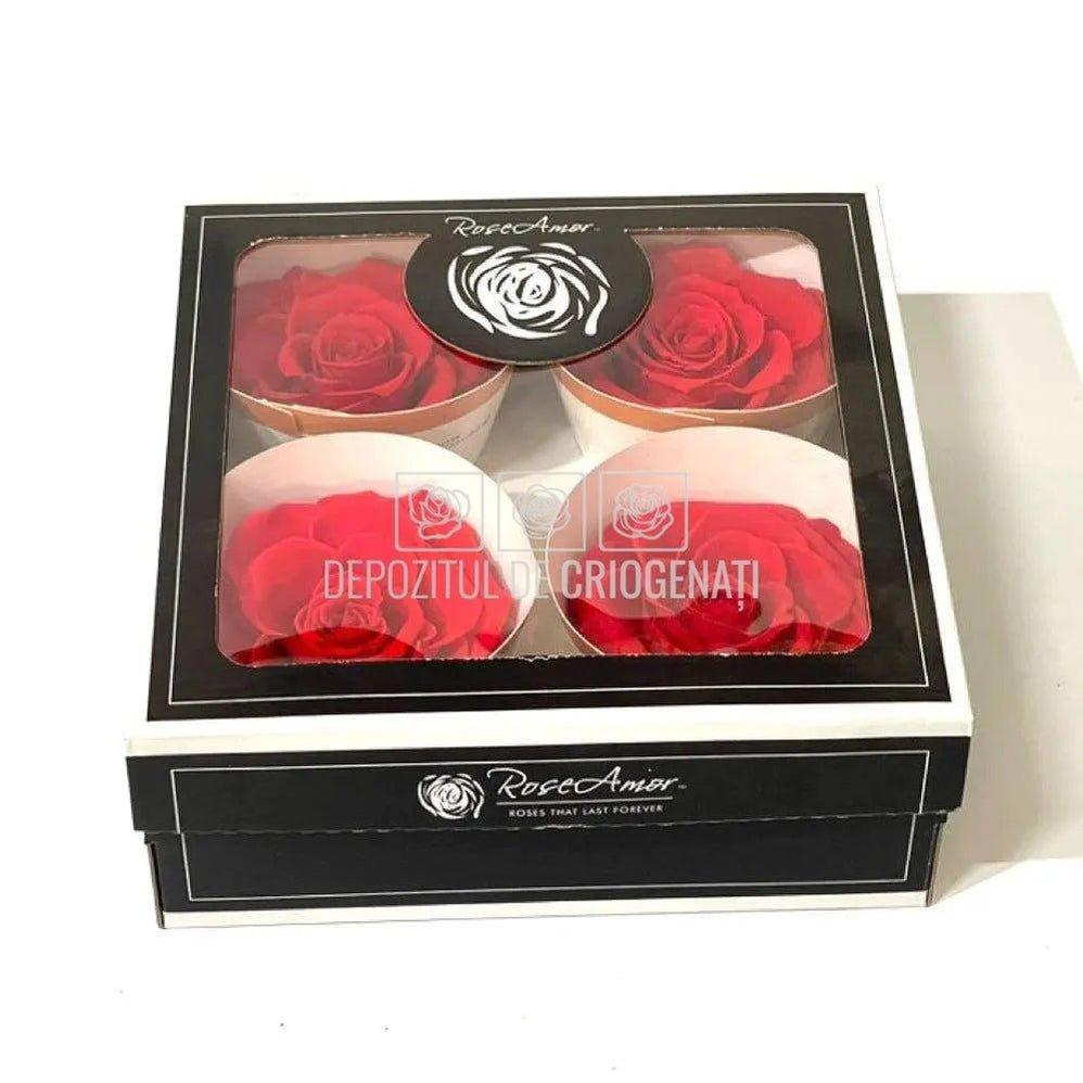 Trandafiri Criogenati BELLA ORA-03 (Ø7,5-8cm, set 4 buc /cutie) - DepozituldeCriogenati.ro