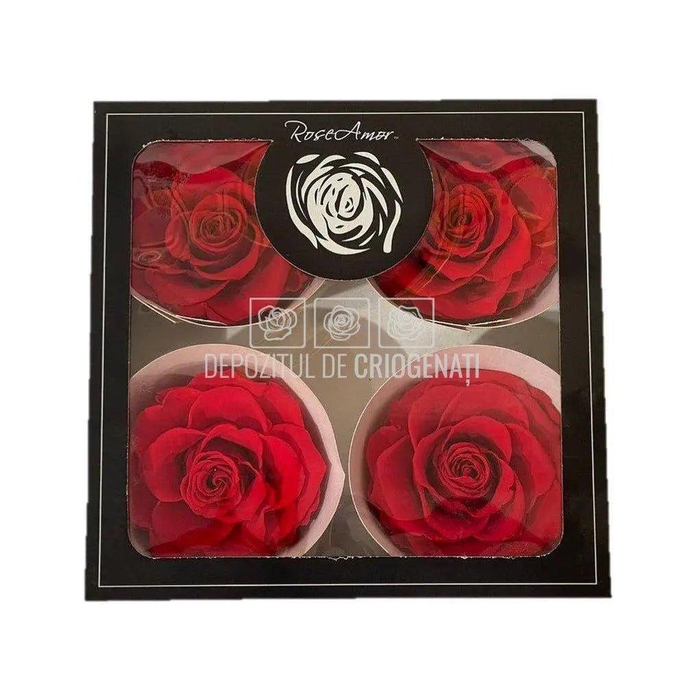 Trandafiri Criogenati BELLA ORA-03 (Ø7,5-8cm, set 4 buc /cutie) - DepozituldeCriogenati.ro