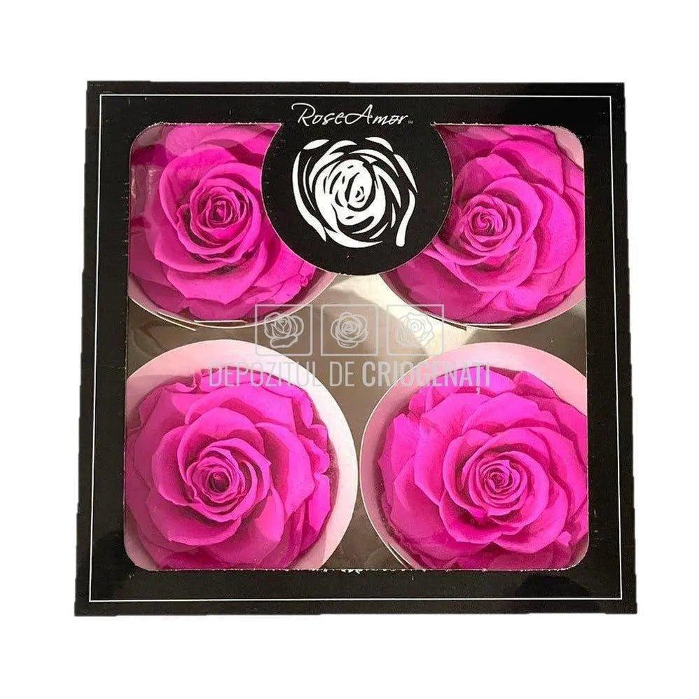 Trandafiri Criogenati BELLA PIN-07 (Ø7,5-8cm, set 4 buc /cutie) - DepozituldeCriogenati.ro