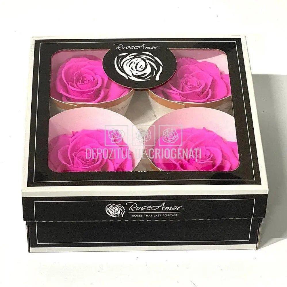 Trandafiri Criogenati BELLA PIN-07 (Ø7,5-8cm, set 4 buc /cutie) - DepozituldeCriogenati.ro