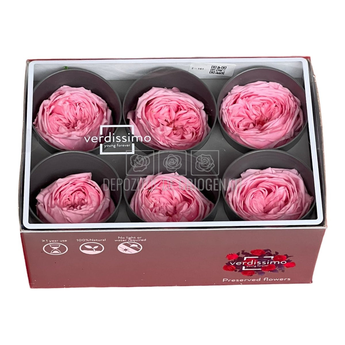 Trandafiri Criogenati GARDEN PASTEL PINK (Ø5-6cm; set 6 buc/cutie)-Depozitul de Criogenati