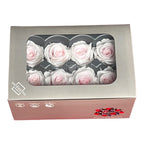 Trandafiri Criogenati MEDIU BICOLOR (Ø4,5-5cm, set 8buc)-Depozitul de Criogenati