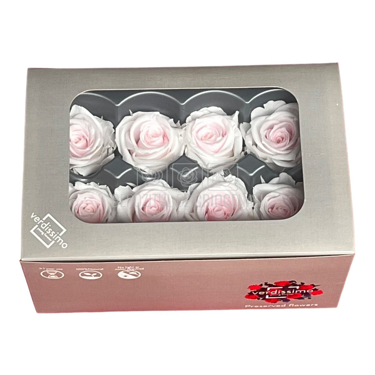 Trandafiri Criogenati MEDIU BICOLOR (Ø4,5-5cm, set 8buc)-Depozitul de Criogenati