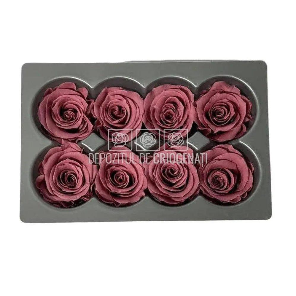 Trandafiri Criogenati MEDIU CHERRY BLOSSOM (Ø4,5-5cm, set 8buc) - DepozituldeCriogenati.ro