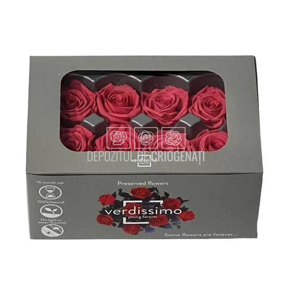 Trandafiri Criogenati MEDIU DARK PINK (Ø4,5-5cm, set 8buc) - DepozituldeCriogenati.ro