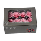 Trandafiri Criogenati MEDIU PASTEL PINK (Ø4,5-5cm, set 8buc) - DepozituldeCriogenati.ro