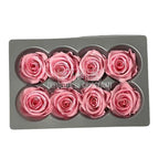 Trandafiri Criogenati MEDIU PASTEL PINK (Ø4,5-5cm, set 8buc) - DepozituldeCriogenati.ro