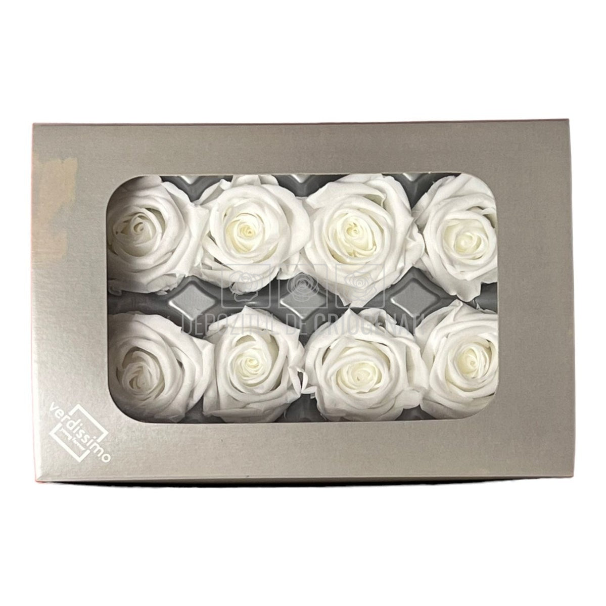 Trandafiri Criogenati MEDIU WHITE (Ø4,5-5cm, set 8buc)-Depozitul de Criogenati