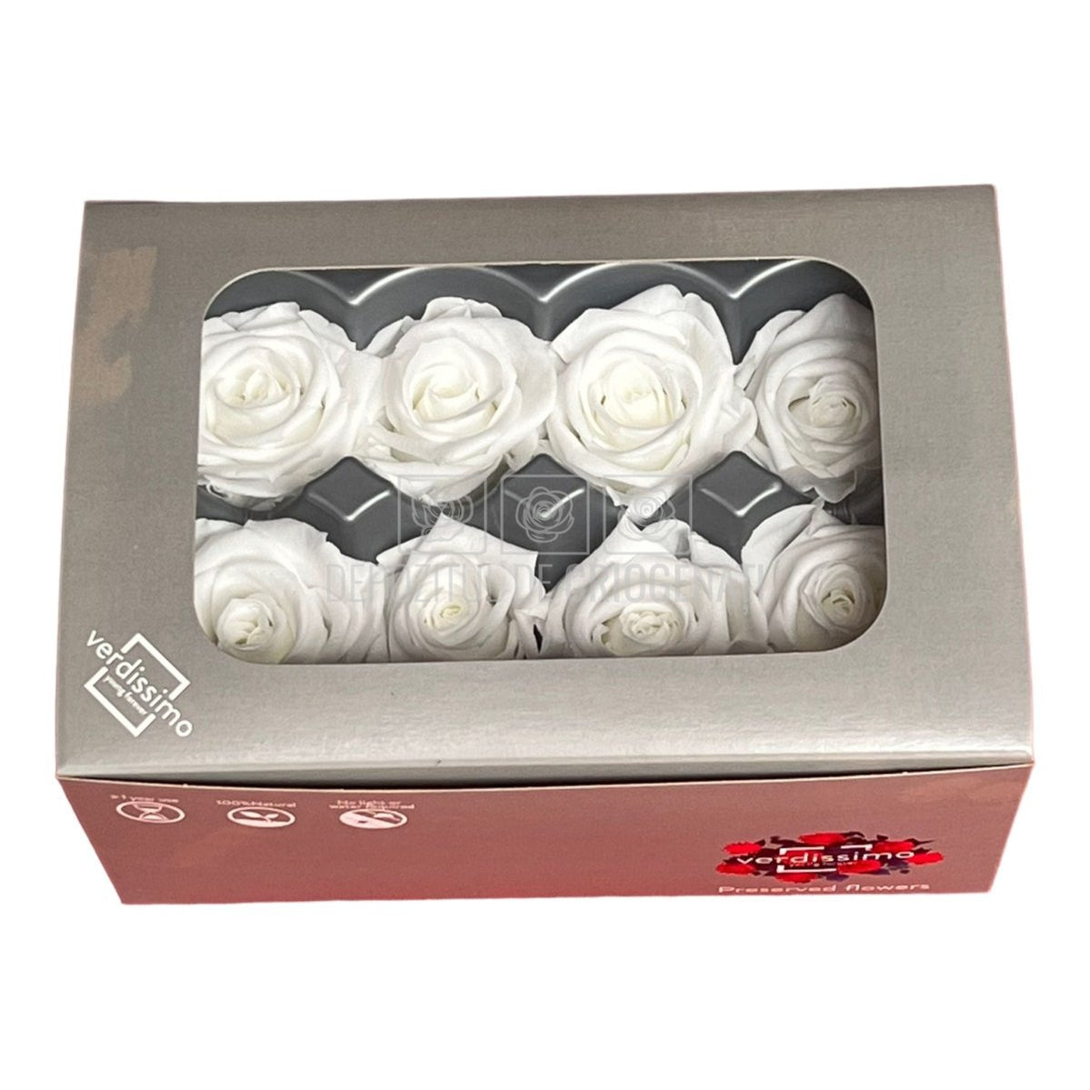 Trandafiri Criogenati MEDIU WHITE (Ø4,5-5cm, set 8buc)-Depozitul de Criogenati