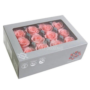 Trandafiri Criogenati Mini Bridal Pink (Ø3,5-4,5cm, set 12 buc) - DepozituldeCriogenati.ro