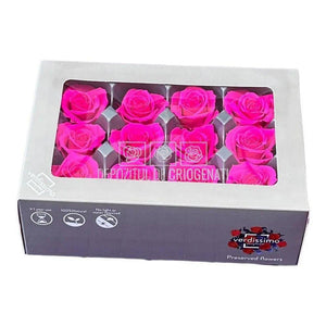 Trandafiri Criogenati Mini Bright Pink (Ø3,5-4,5cm, set 12 buc) - DepozituldeCriogenati.ro