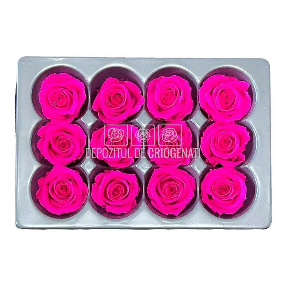 Trandafiri Criogenati Mini Bright Pink (Ø3,5-4,5cm, set 12 buc) - DepozituldeCriogenati.ro