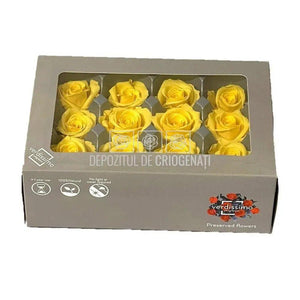 Trandafiri Criogenati Mini Bright Yellow (Ø3,5-4,5cm, set 12 buc) - DepozituldeCriogenati.ro