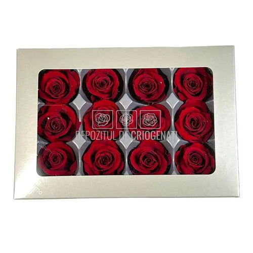 Trandafiri Criogenati MINI BURGUNDY (Ø3,5-4,5cm, set 12 buc) - DepozituldeCriogenati.ro