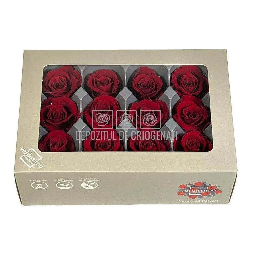Trandafiri Criogenati MINI BURGUNDY (Ø3,5-4,5cm, set 12 buc) - DepozituldeCriogenati.ro