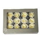 Trandafiri Criogenati Mini Champagne (Ø3,5-4,5cm, set 12 buc) - DepozituldeCriogenati.ro