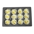 Trandafiri Criogenati Mini Champagne (Ø3,5-4,5cm, set 12 buc) - DepozituldeCriogenati.ro