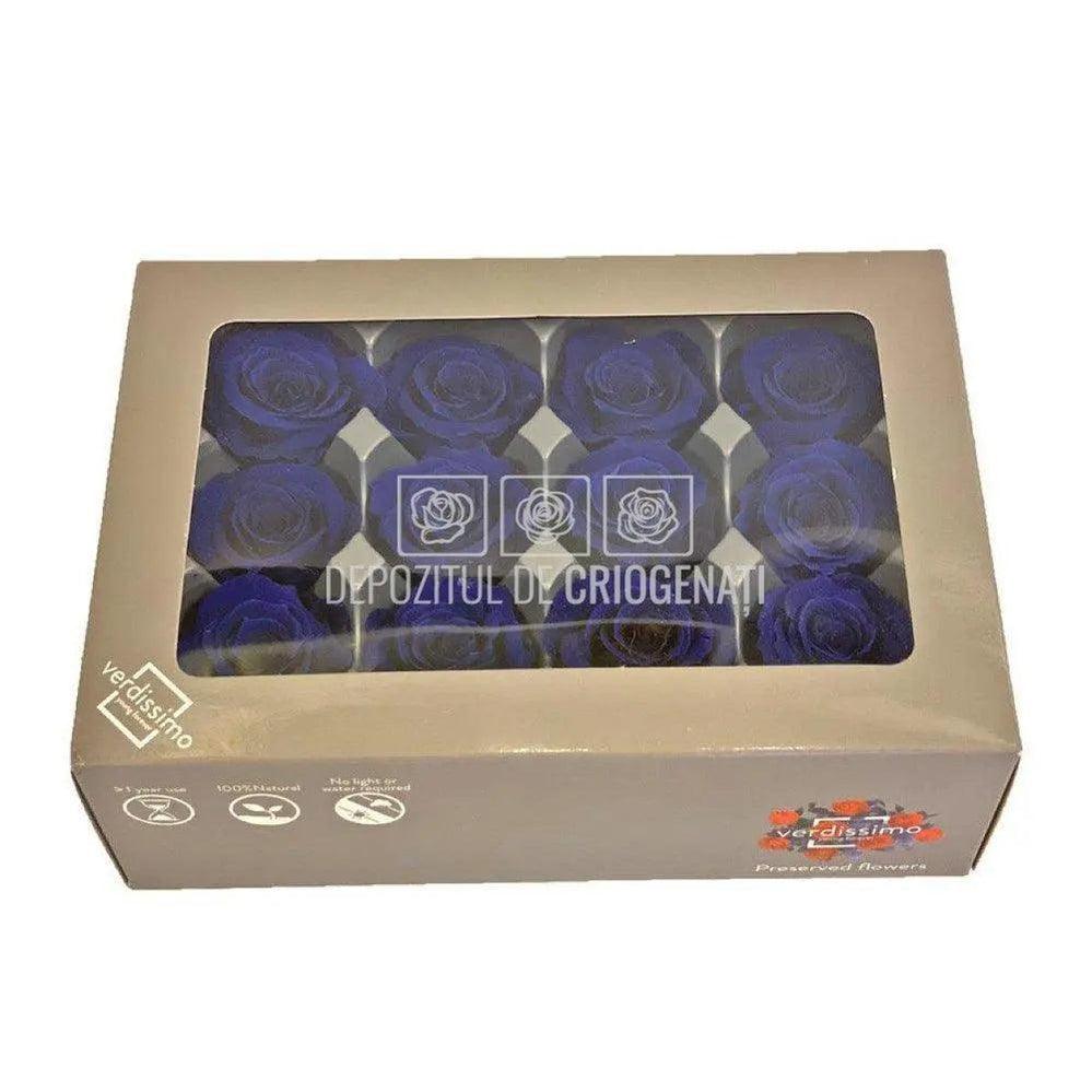 Trandafiri Criogenati MINI DARK BLUE (Ø3,5-4,5cm, 12 buc /cutie) - DepozituldeCriogenati.ro