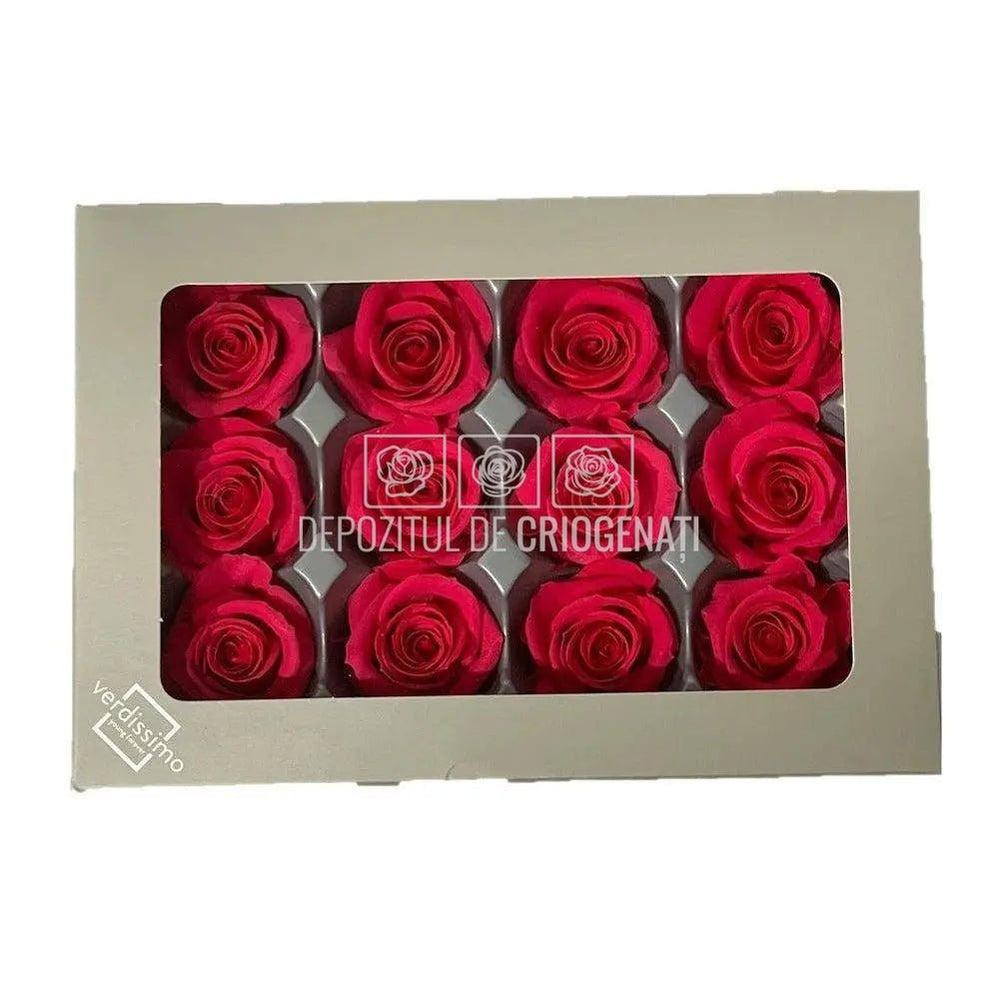 Trandafiri Criogenati MINI DARK PINK (Ø3,5-4,5cm, set 12 buc) - DepozituldeCriogenati.ro