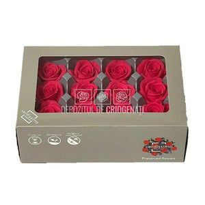 Trandafiri Criogenati MINI DARK PINK (Ø3,5-4,5cm, set 12 buc) - DepozituldeCriogenati.ro