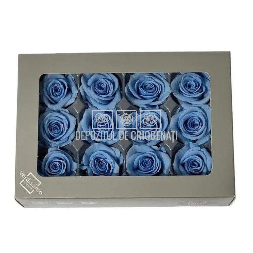 Trandafiri Criogenati MINI LIGHT BLUE (Ø3,5-4,5cm, set 12 buc) - DepozituldeCriogenati.ro