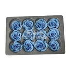 Trandafiri Criogenati MINI LIGHT BLUE (Ø3,5-4,5cm, set 12 buc) - DepozituldeCriogenati.ro