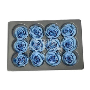Trandafiri Criogenati MINI LIGHT BLUE (Ø3,5-4,5cm, set 12 buc) - DepozituldeCriogenati.ro