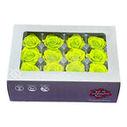 Trandafiri Criogenati MINI LIME GREEN (Ø3,5-4,5cm, set 12 buc) - DepozituldeCriogenati.ro