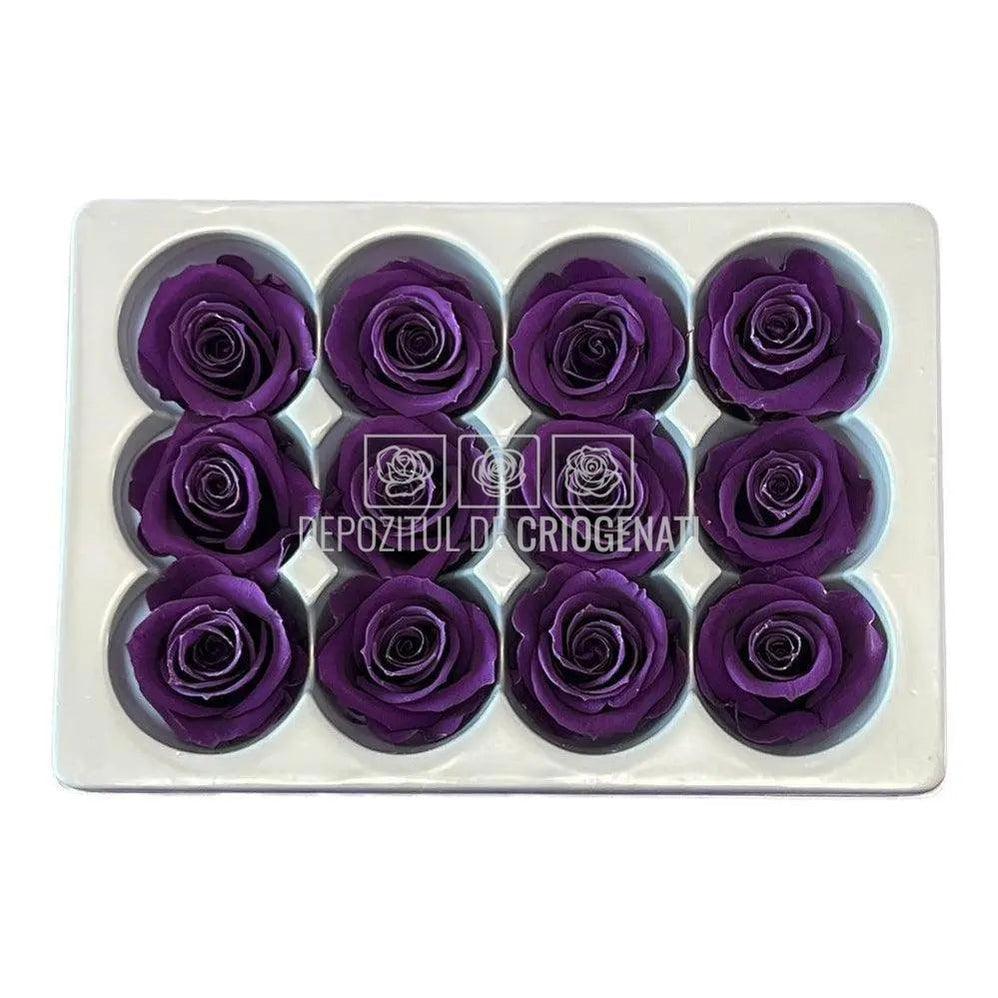 Trandafiri Criogenati MINI PURPLE (Ø3,5-4,5cm, set 12 buc) - DepozituldeCriogenati.ro