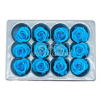 Trandafiri Criogenati MINI TURQUOISE (Ø3,5-4,5cm, set 12 buc) - DepozituldeCriogenati.ro