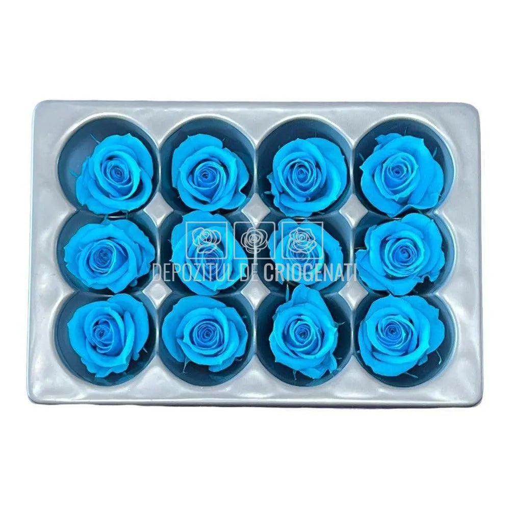 Trandafiri Criogenati MINI TURQUOISE (Ø3,5-4,5cm, set 12 buc) - DepozituldeCriogenati.ro