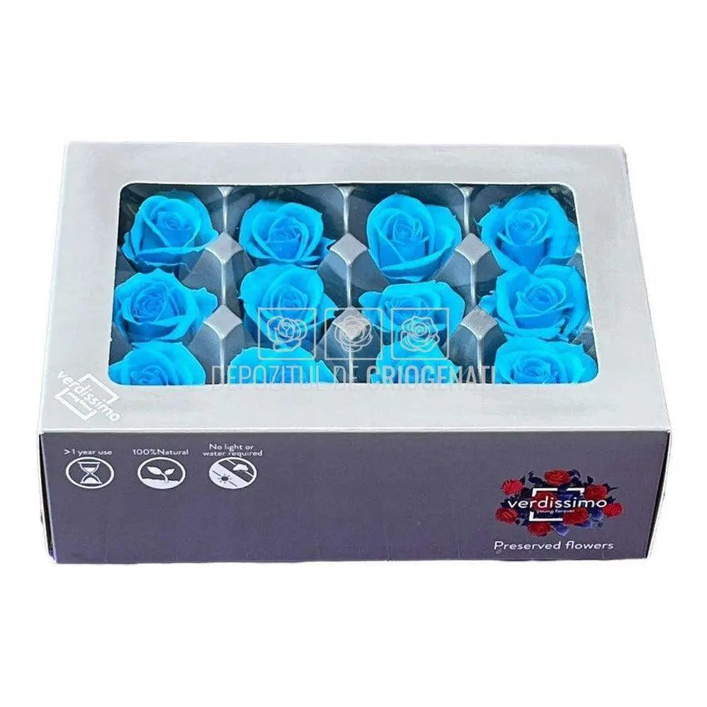 Trandafiri Criogenati MINI TURQUOISE (Ø3,5-4,5cm, set 12 buc) - DepozituldeCriogenati.ro