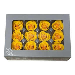 Trandafiri Criogenati Mini Warm Yellow (Ø3,5-4,5cm, set 12 buc) - DepozituldeCriogenati.ro