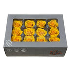 Trandafiri Criogenati Mini Warm Yellow (Ø3,5-4,5cm, set 12 buc) - DepozituldeCriogenati.ro