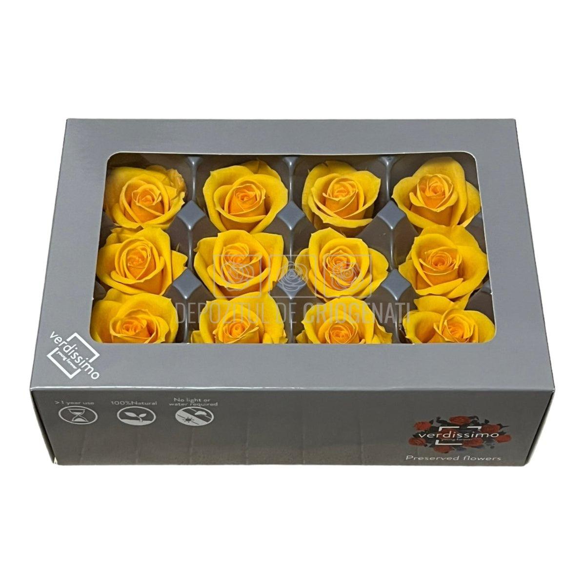 Trandafiri Criogenati Mini Warm Yellow (Ø3,5-4,5cm, set 12 buc) - DepozituldeCriogenati.ro