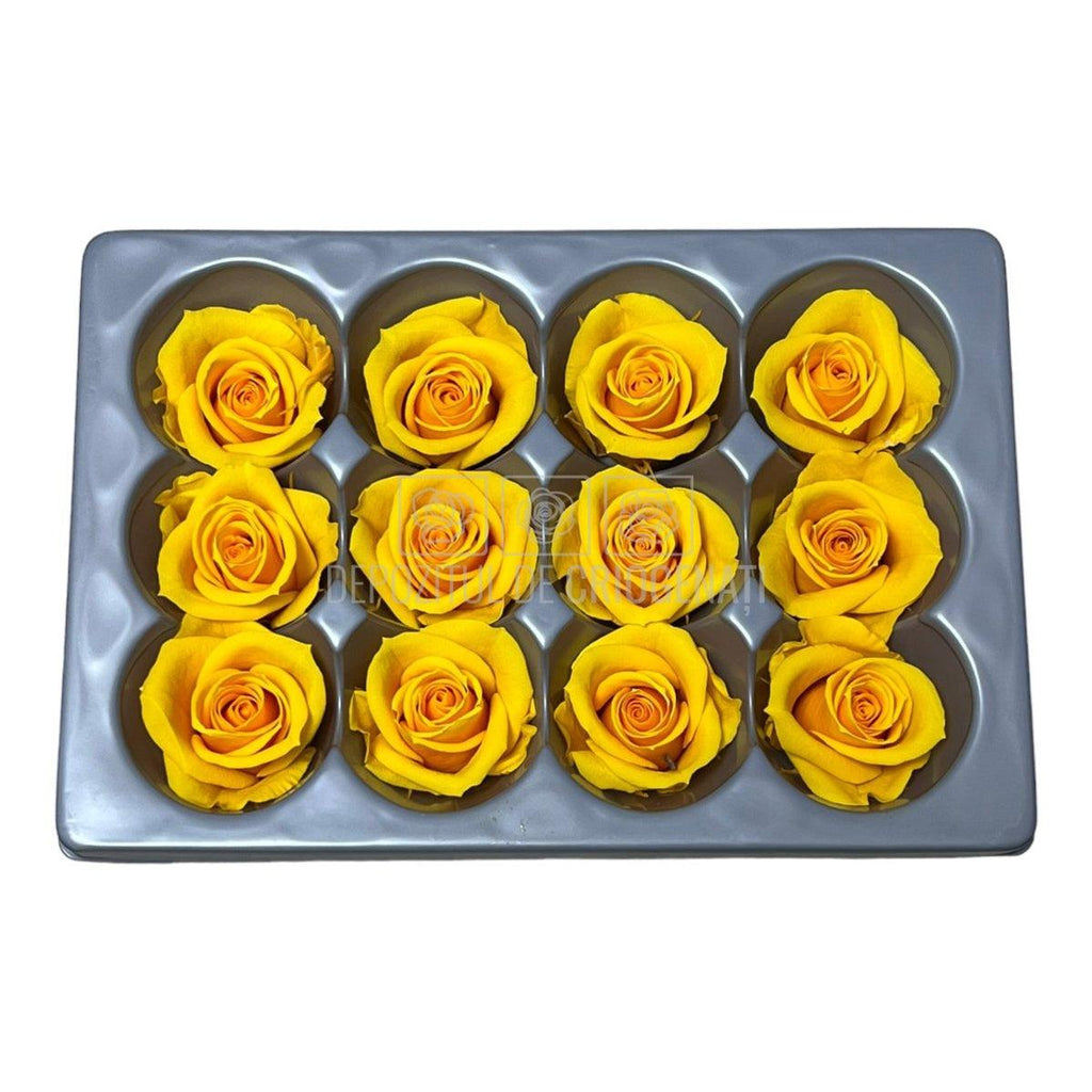 Trandafiri Criogenati Mini Warm Yellow (Ø3,5-4,5cm, set 12 buc) - DepozituldeCriogenati.ro