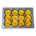 Trandafiri Criogenati Mini Warm Yellow (Ø3,5-4,5cm, set 12 buc) - DepozituldeCriogenati.ro