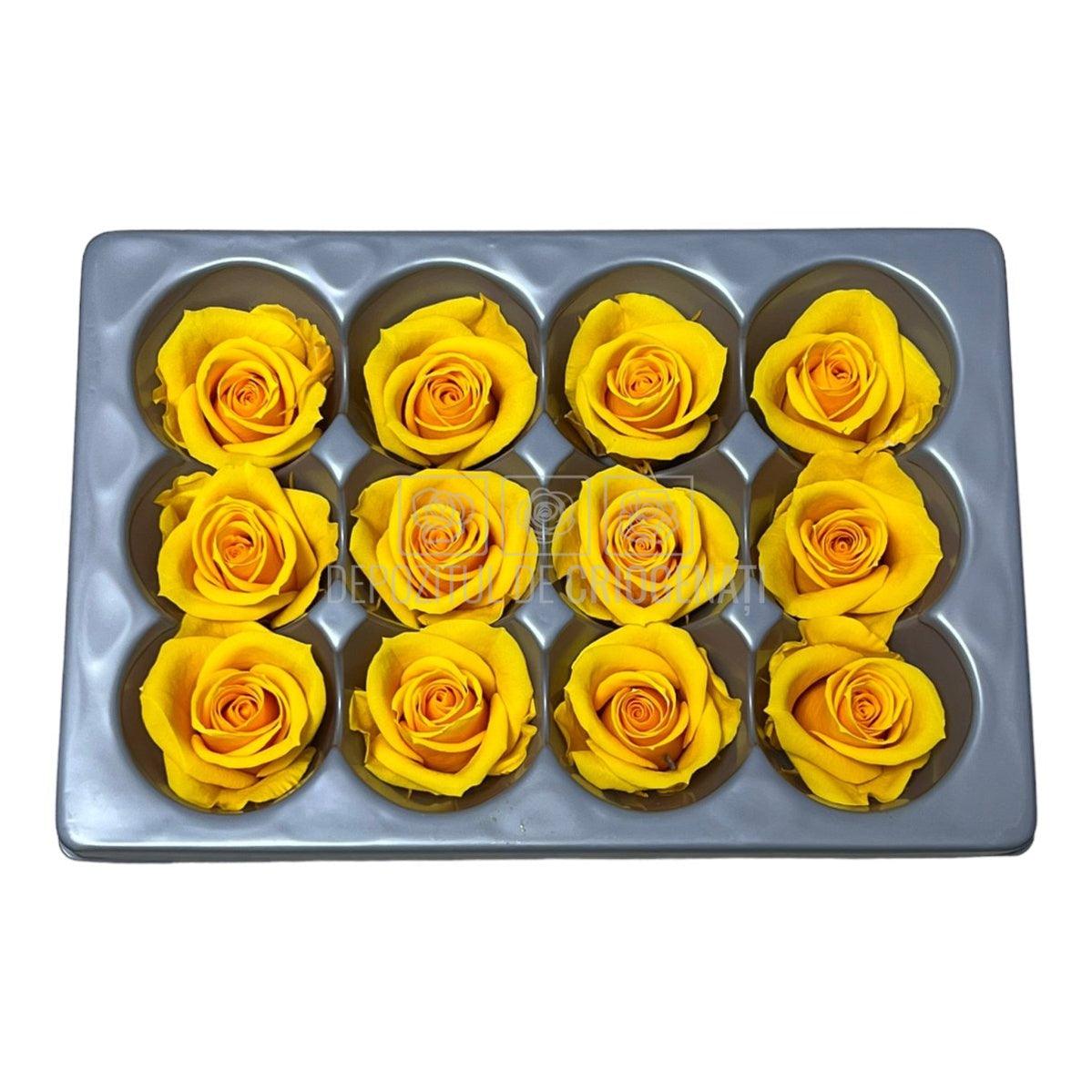 Trandafiri Criogenati Mini Warm Yellow (Ø3,5-4,5cm, set 12 buc) - DepozituldeCriogenati.ro