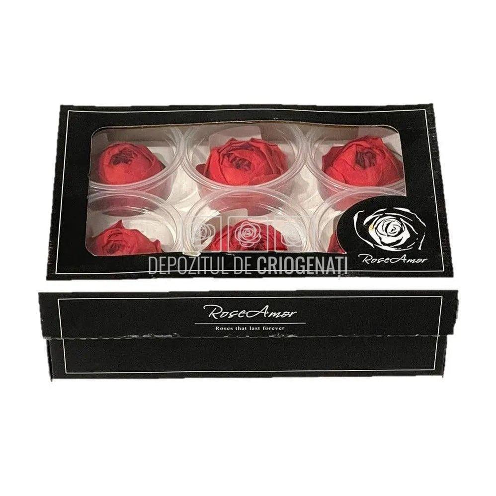 Trandafiri Criogenati NIKI RED-02 (Ø5cm, set 6 buc /cutie) - DepozituldeCriogenati.ro