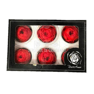 Trandafiri Criogenati NIKI RED-02 (Ø5cm, set 6 buc /cutie) - DepozituldeCriogenati.ro
