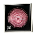 Trandafiri Criogenati NIKI XXL PIN-99 (Ø9cm, set 1 buc /cutie) - DepozituldeCriogenati.ro